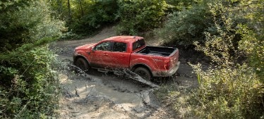 Ranger Tremor Lariat